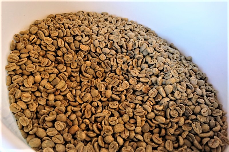 日向市鶴町の「日向珈琲」焙煎前の、生のコーヒー豆