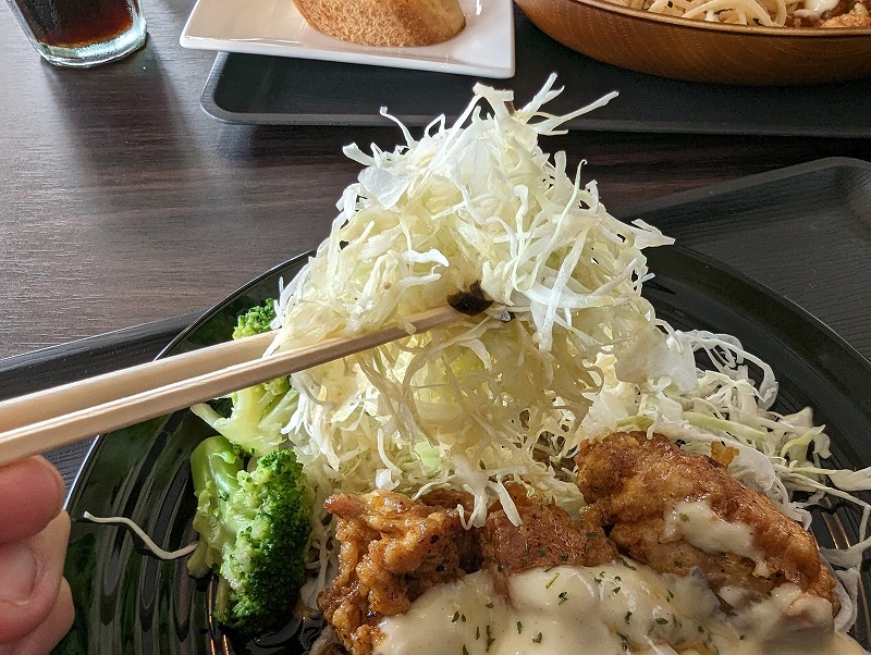 宮崎市の南国宮崎ライダーズカフェROUTE220で食べたチキン南蛮定食6
