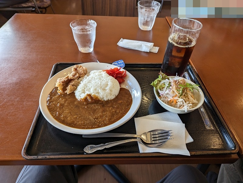 国富町の「宮崎かしわや」で食べた「日替わりからあげカレー」