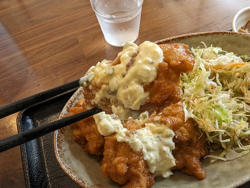 宮崎市青島の木ノ花キッチンで食べたチキン南蛮定食12