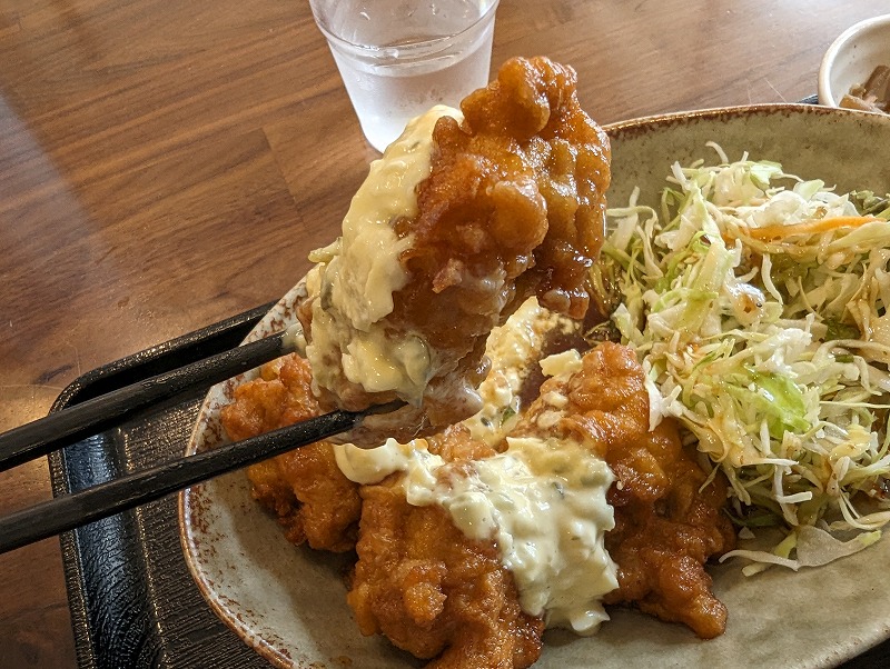 宮崎市青島の木ノ花キッチンで食べたチキン南蛮定食13