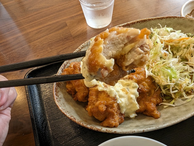 宮崎市青島の木ノ花キッチンで食べたチキン南蛮定食14