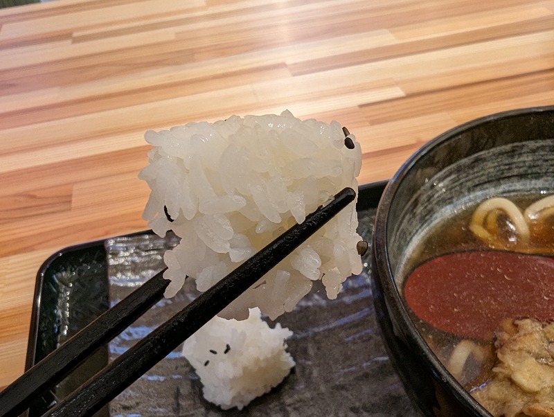 宮崎市の一心UDON宮崎本店で食べた「ごぼう天うどん」「おにぎり」「いなり」10