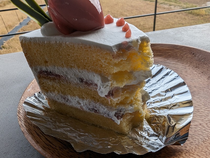 西都市の「苺専門店 OONOYA オープンカフェ」で食べた「苺のショートケーキ」5