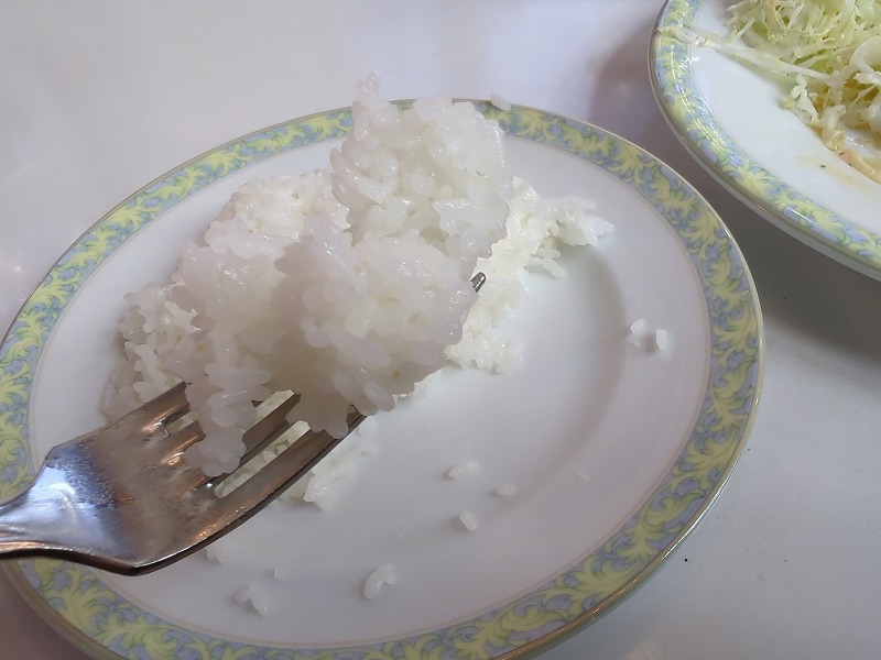 宮崎市の「おぐら瀬頭店」で食べたチキン南蛮15