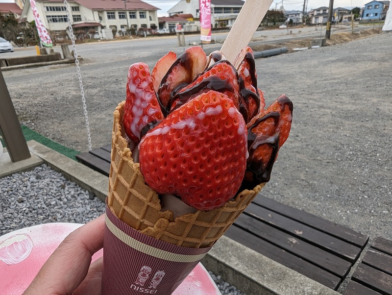 延岡市の川原いちご農園で食べたソフトクリーム「いちごの森」