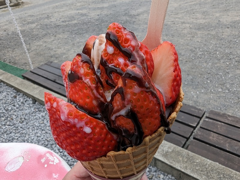 延岡市の川原いちご農園で食べたソフトクリーム「いちごの森」3