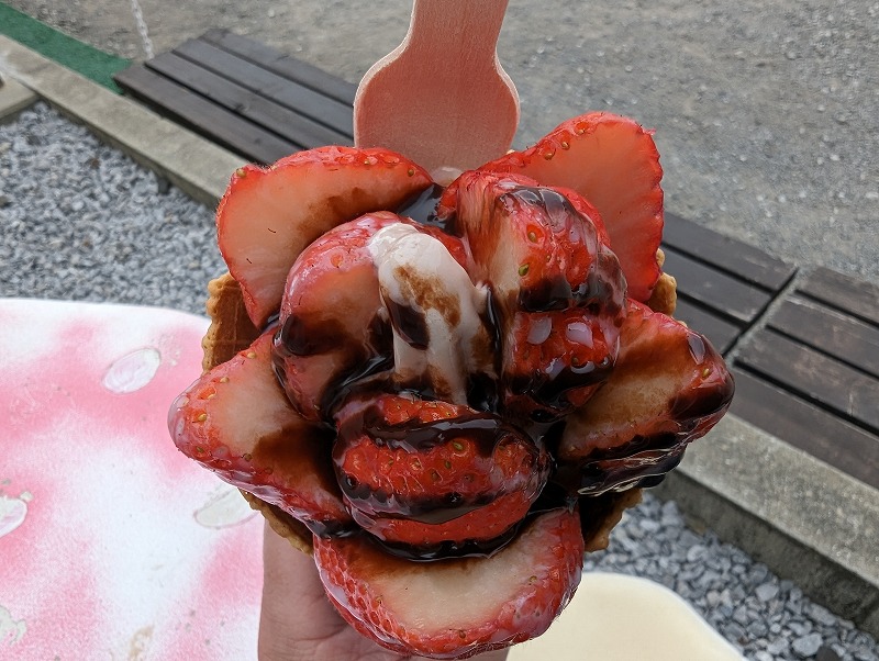 延岡市の川原いちご農園で食べたソフトクリーム「いちごの森」4