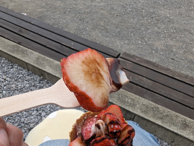 延岡市の川原いちご農園で食べたソフトクリーム「いちごの森」5