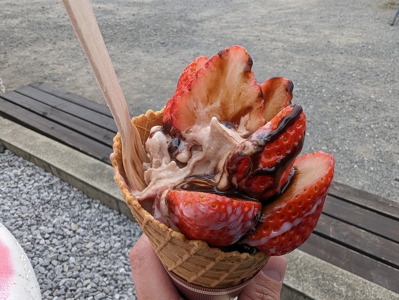 延岡市の川原いちご農園で食べたソフトクリーム「いちごの森」6