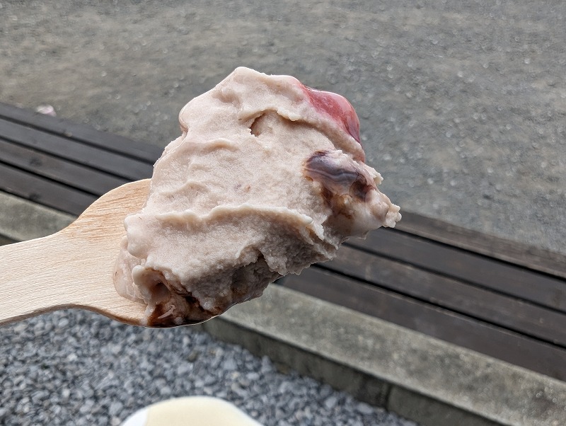 延岡市の川原いちご農園で食べたソフトクリーム「いちごの森」8