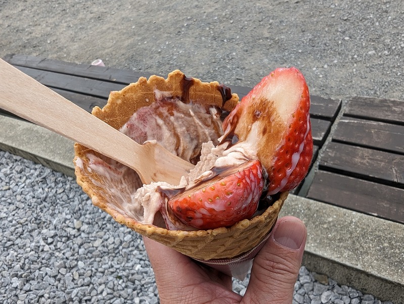 延岡市の川原いちご農園で食べたソフトクリーム「いちごの森」10
