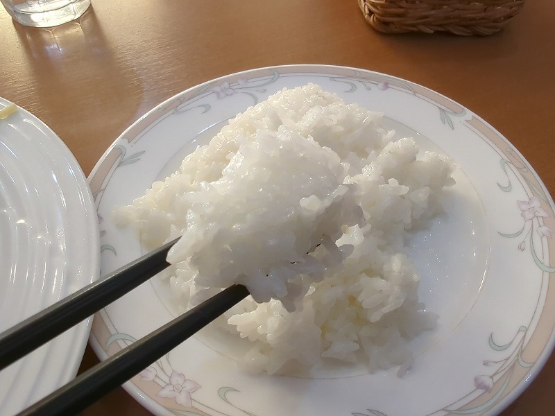 宮崎市新別府町の森のレストラン 赤ずきんで食べたチキン南蛮7