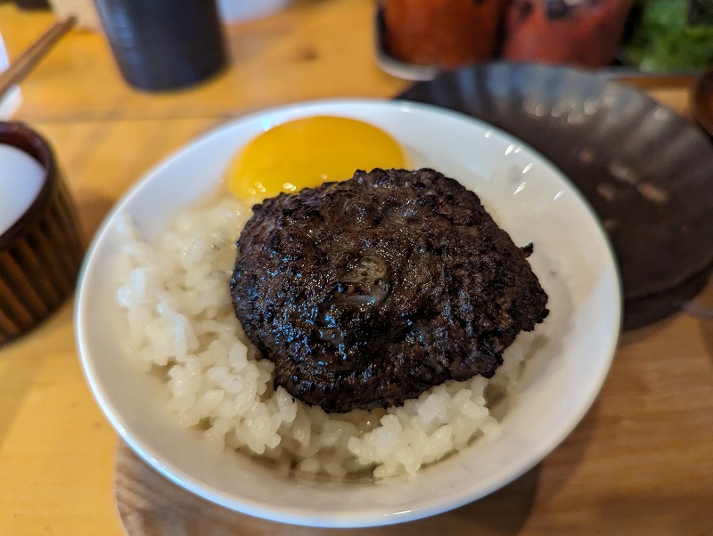 宮崎市の肉塊nikukaiハンバーグ・オン・ザ・ライスで食べたランチ18