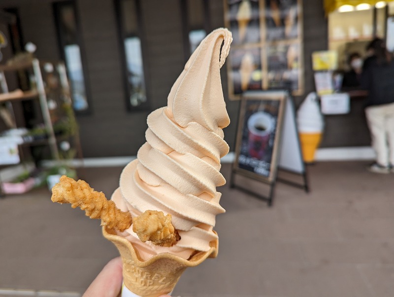 道の駅つのにあるソフト＆ドリームで購入して食べたトマトソフトクリーム